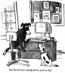 Dogs on the Internet