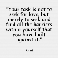 Mencari Cinta Rumi
